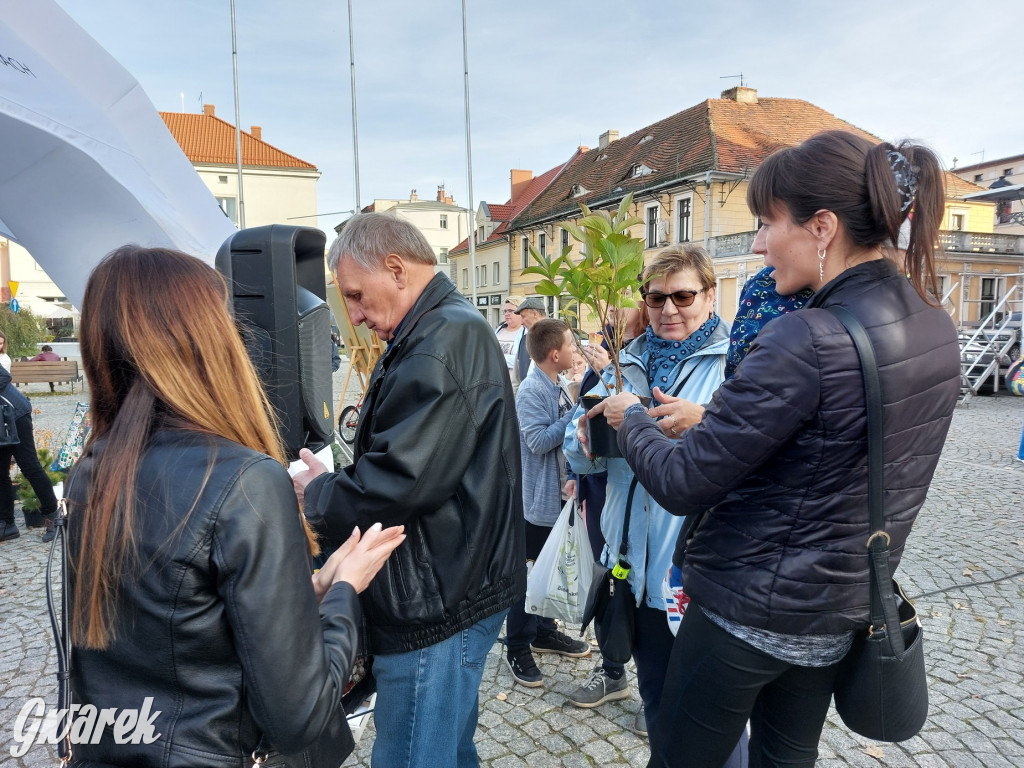 Tarnowskie Góry. Sadzonka za elektrośmieci