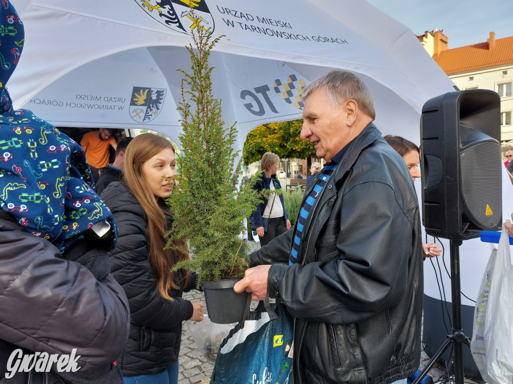 Tarnowskie Góry. Sadzonka za elektrośmieci