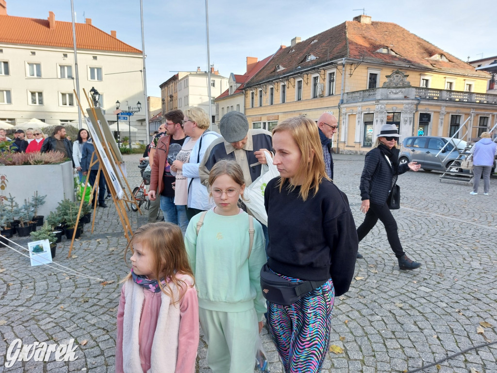 Tarnowskie Góry. Sadzonka za elektrośmieci