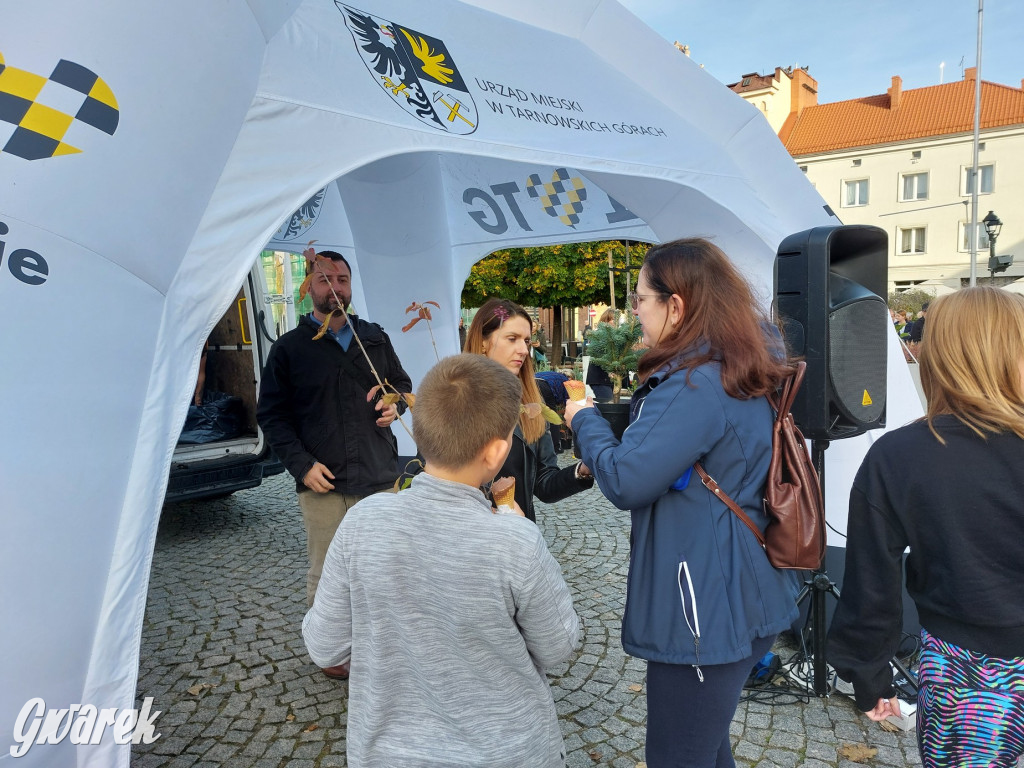 Tarnowskie Góry. Sadzonka za elektrośmieci