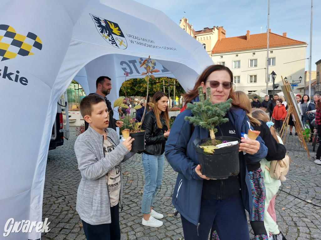 Tarnowskie Góry. Sadzonka za elektrośmieci