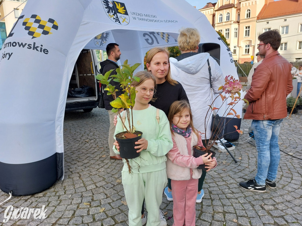 Tarnowskie Góry. Sadzonka za elektrośmieci