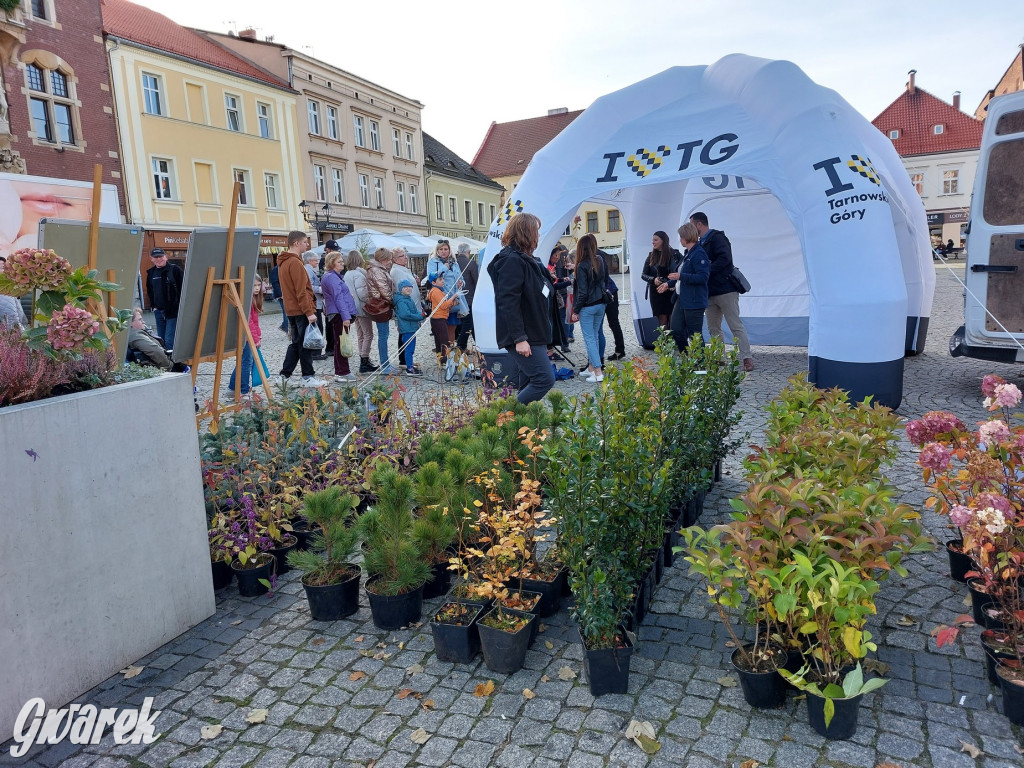 Tarnowskie Góry. Sadzonka za elektrośmieci