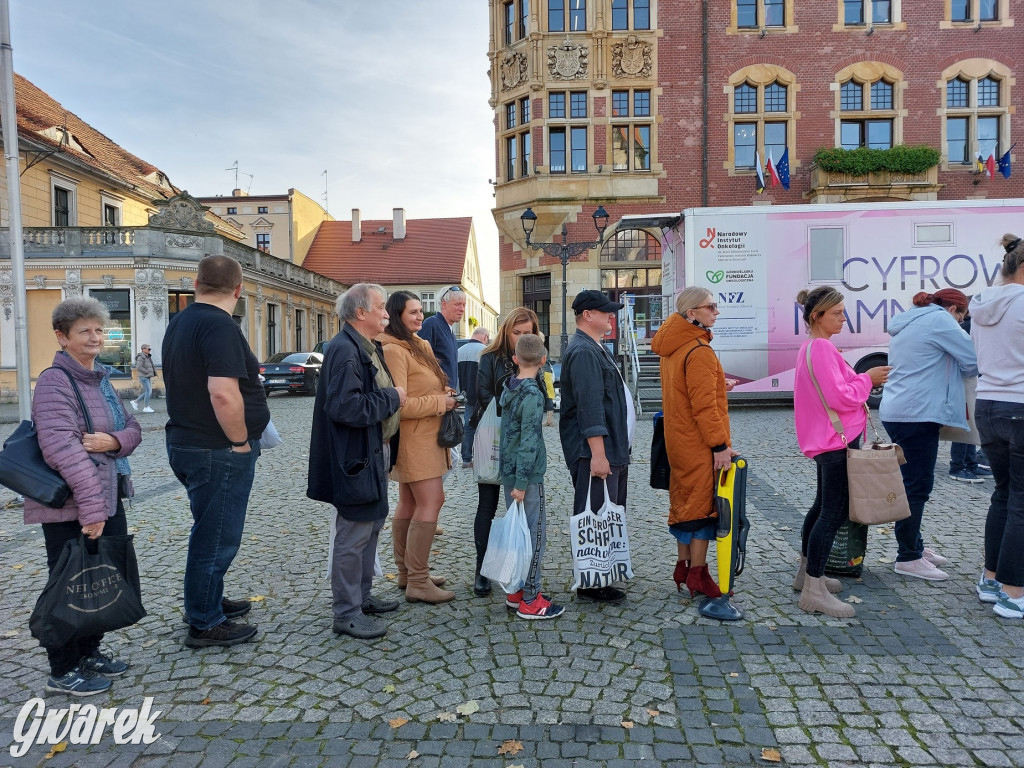 Tarnowskie Góry. Sadzonka za elektrośmieci