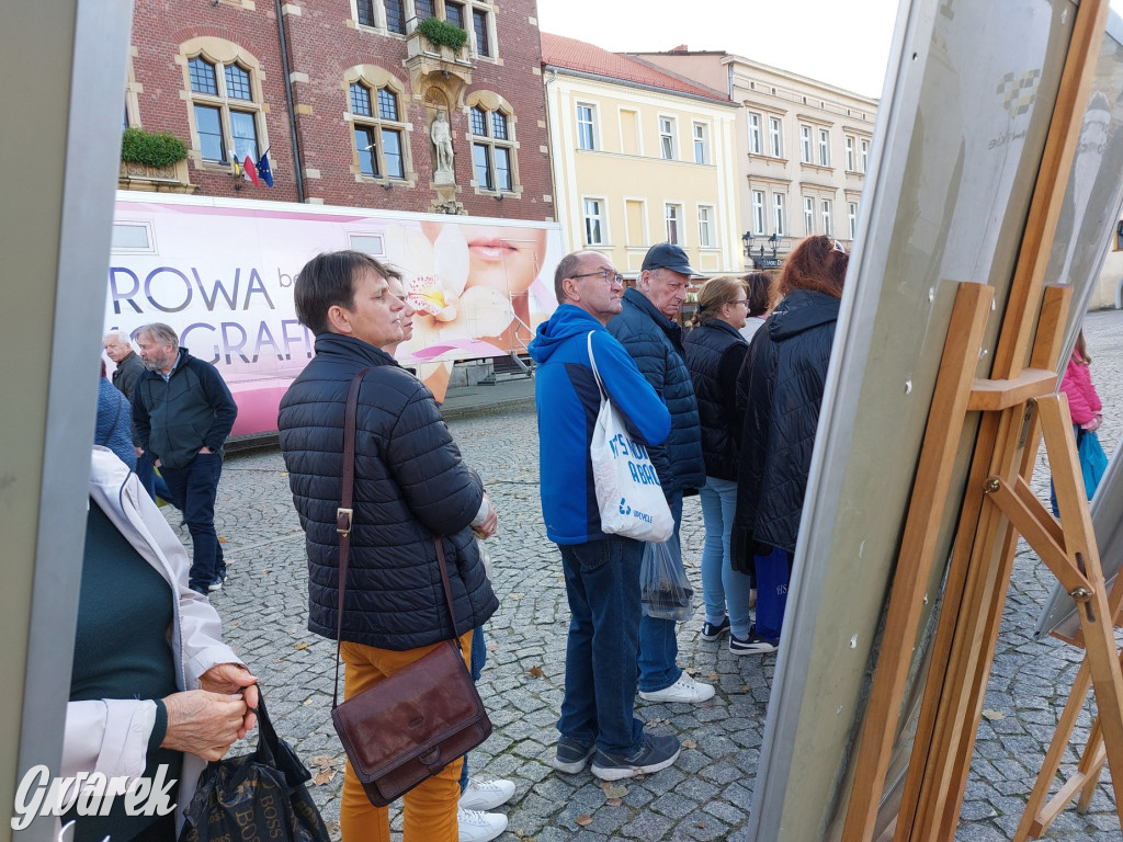 Tarnowskie Góry. Sadzonka za elektrośmieci