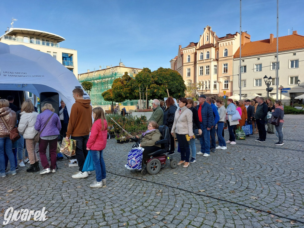 Tarnowskie Góry. Sadzonka za elektrośmieci