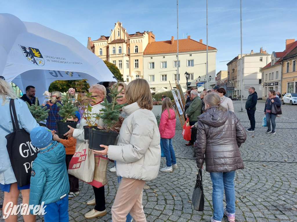 Tarnowskie Góry. Sadzonka za elektrośmieci