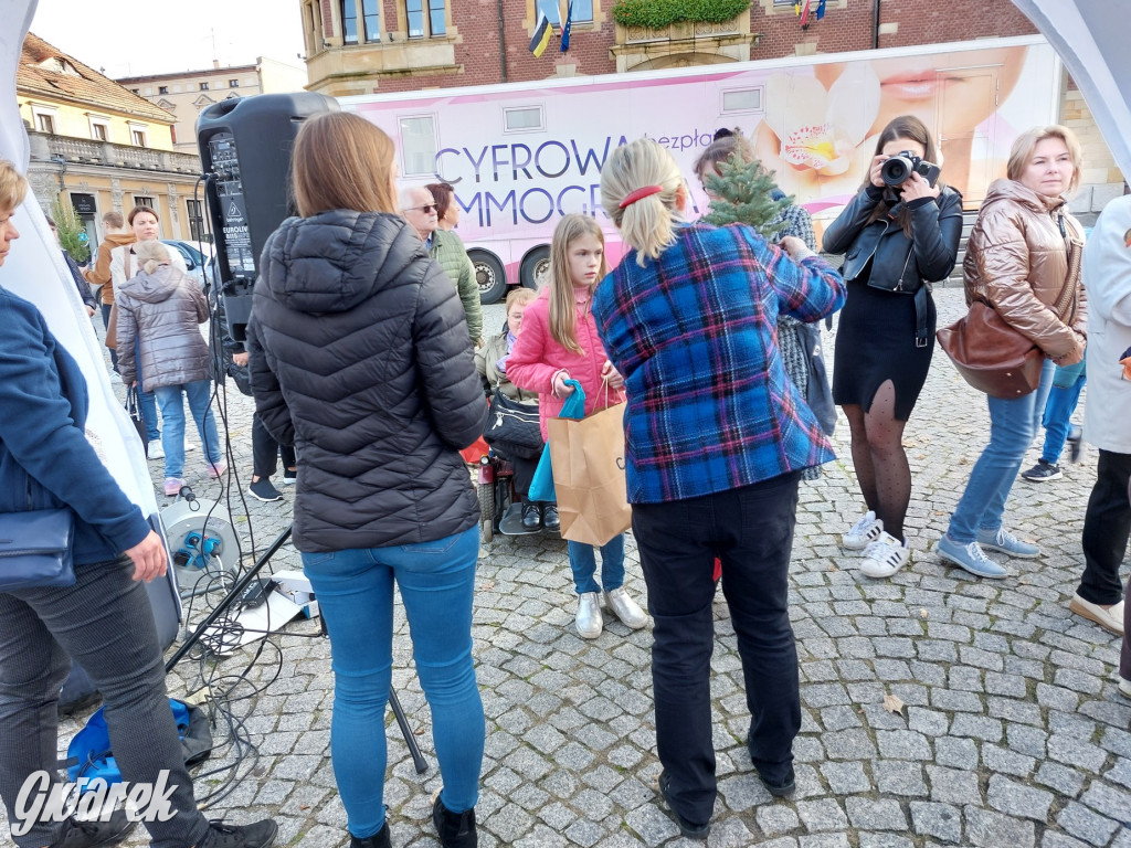 Tarnowskie Góry. Sadzonka za elektrośmieci