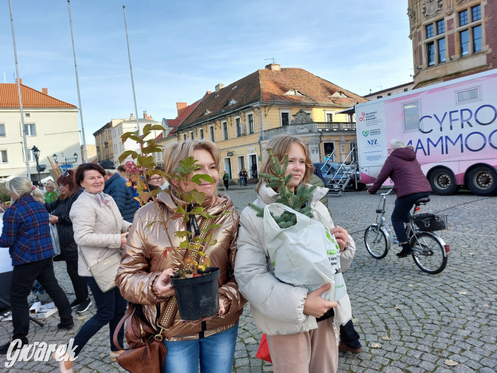 Tarnowskie Góry. Sadzonka za elektrośmieci