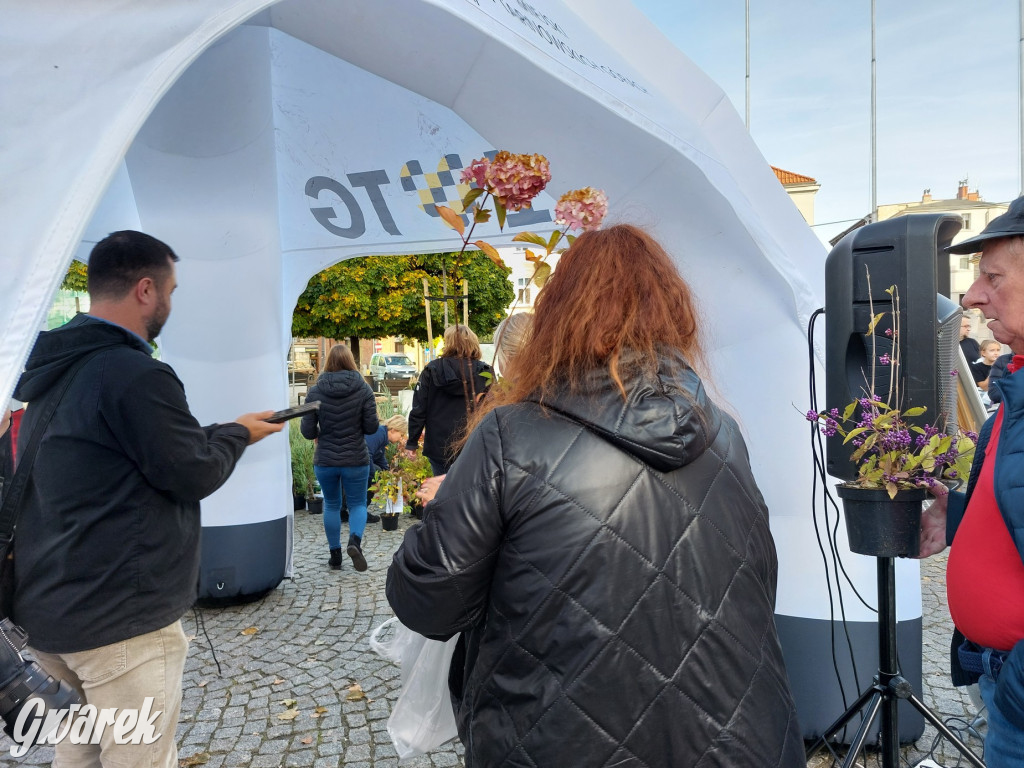 Tarnowskie Góry. Sadzonka za elektrośmieci