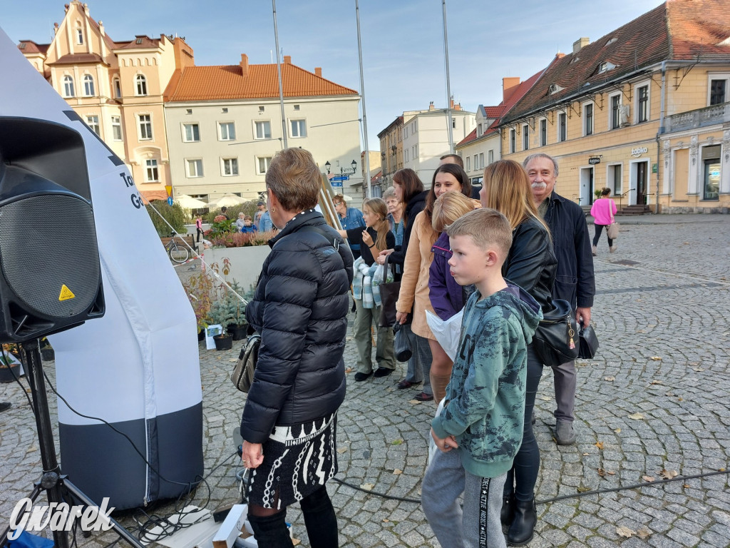 Tarnowskie Góry. Sadzonka za elektrośmieci