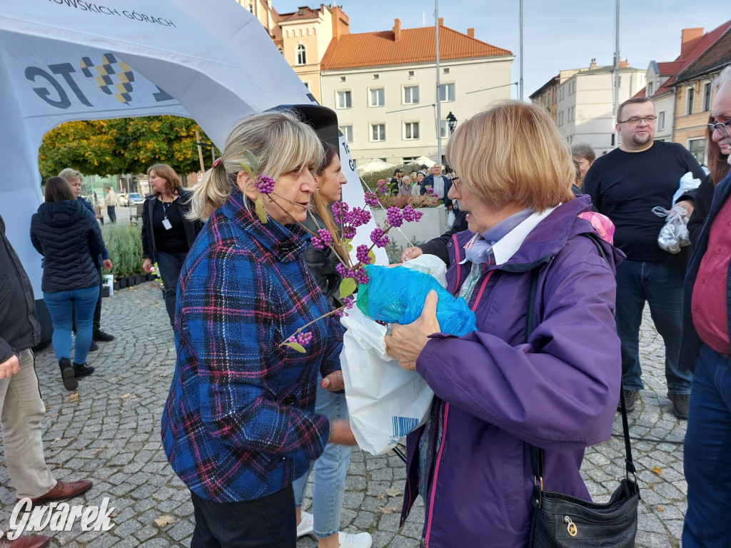 Tarnowskie Góry. Sadzonka za elektrośmieci