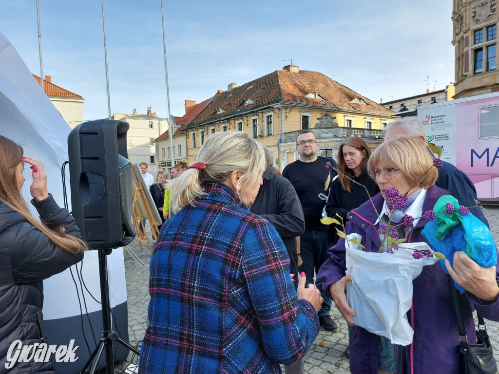 Tarnowskie Góry. Sadzonka za elektrośmieci