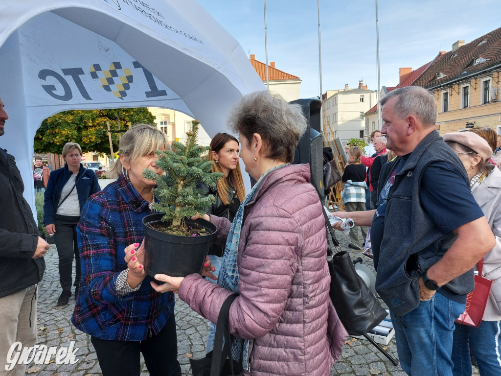 Tarnowskie Góry. Sadzonka za elektrośmieci