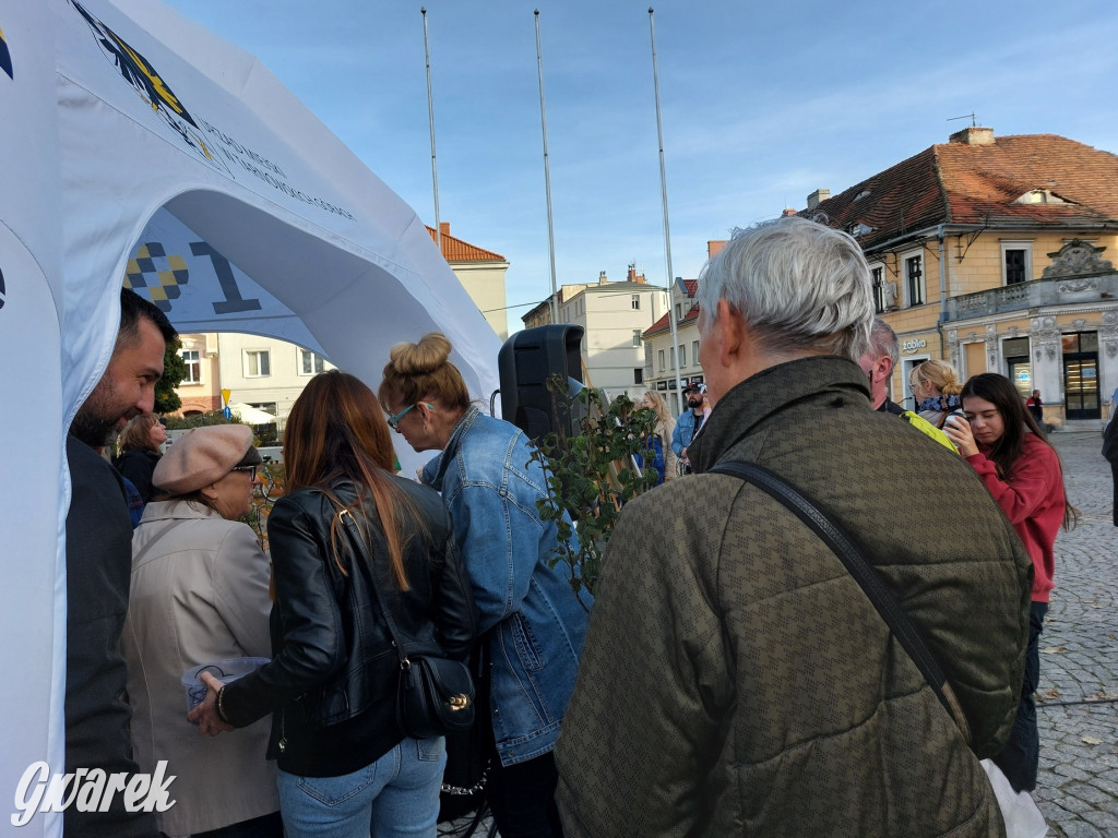 Tarnowskie Góry. Sadzonka za elektrośmieci