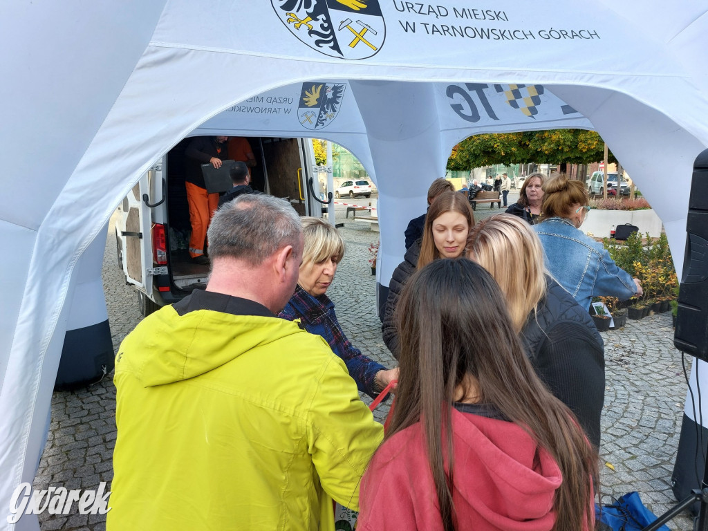 Tarnowskie Góry. Sadzonka za elektrośmieci