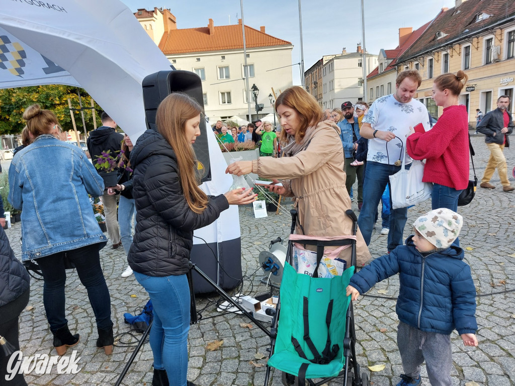 Tarnowskie Góry. Sadzonka za elektrośmieci