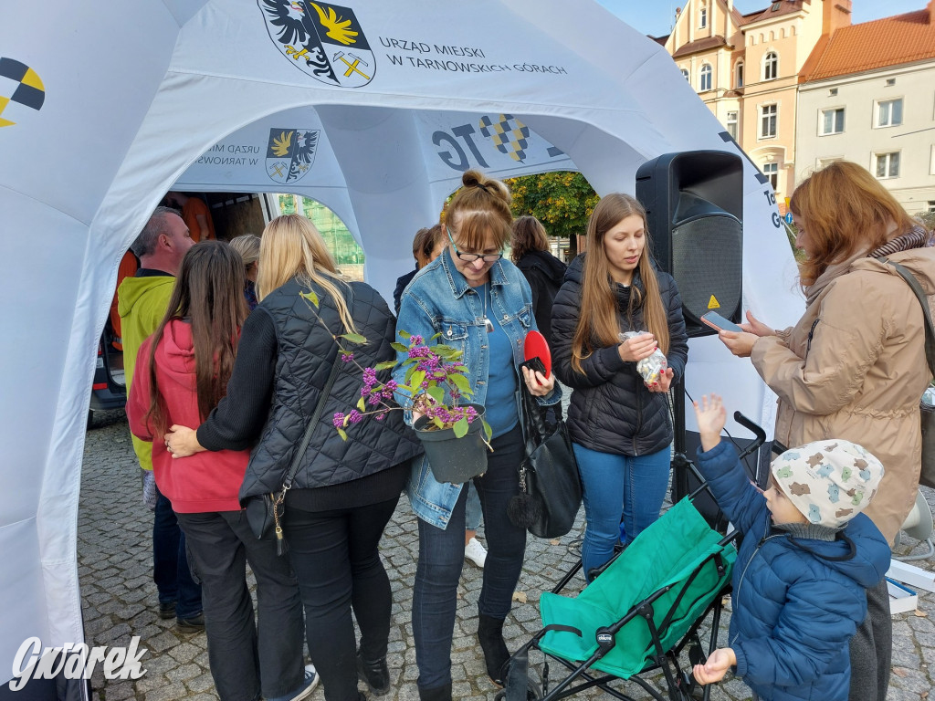 Tarnowskie Góry. Sadzonka za elektrośmieci