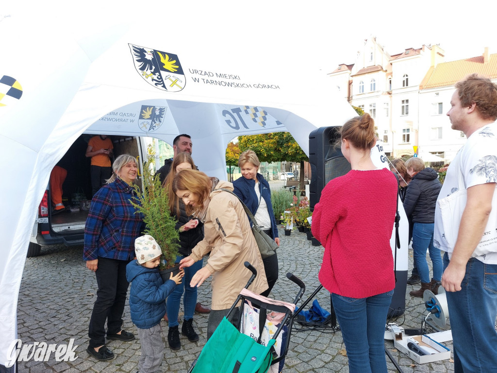 Tarnowskie Góry. Sadzonka za elektrośmieci