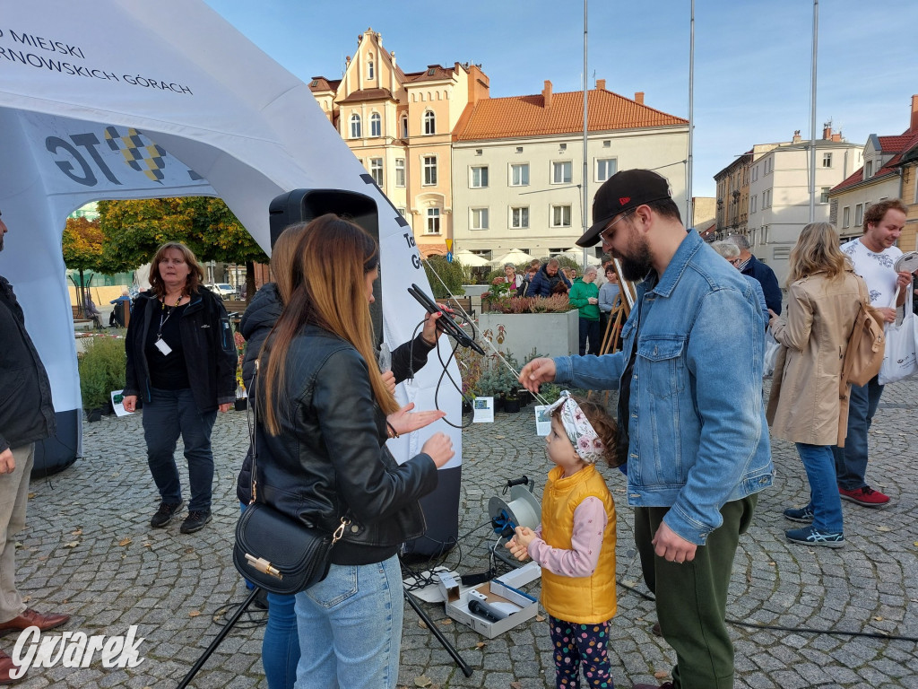 Tarnowskie Góry. Sadzonka za elektrośmieci