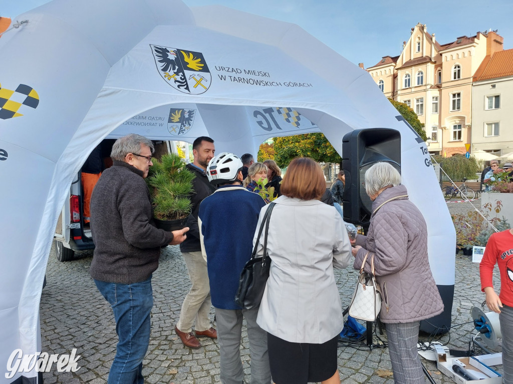 Tarnowskie Góry. Sadzonka za elektrośmieci