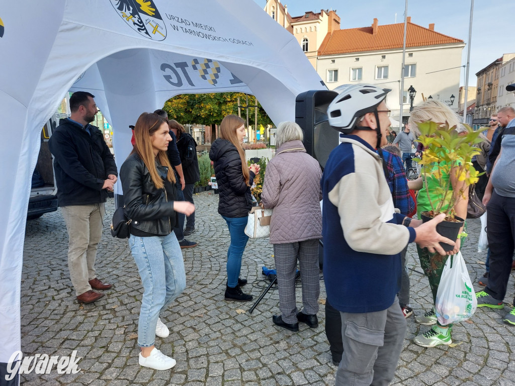 Tarnowskie Góry. Sadzonka za elektrośmieci