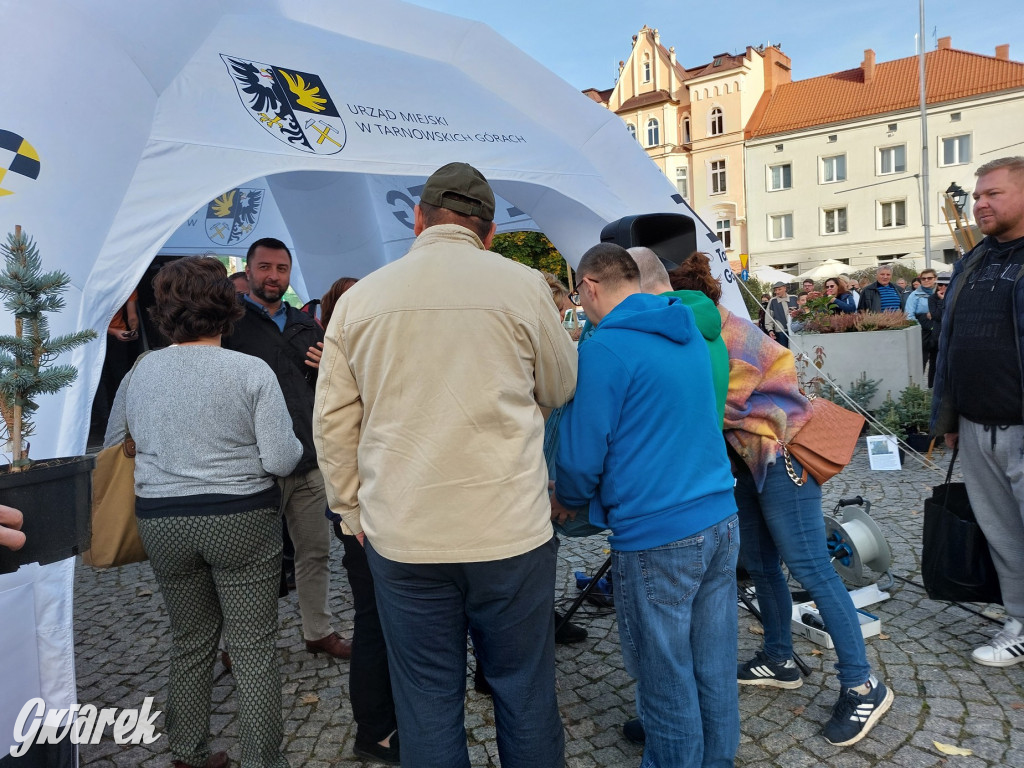 Tarnowskie Góry. Sadzonka za elektrośmieci