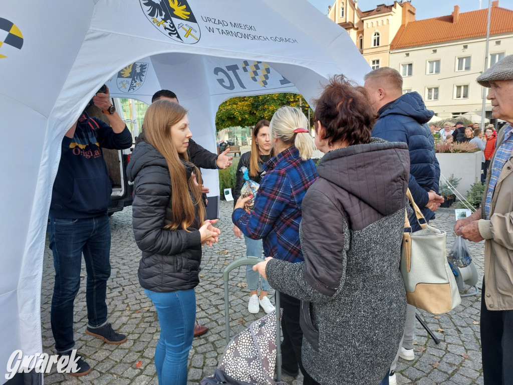 Tarnowskie Góry. Sadzonka za elektrośmieci