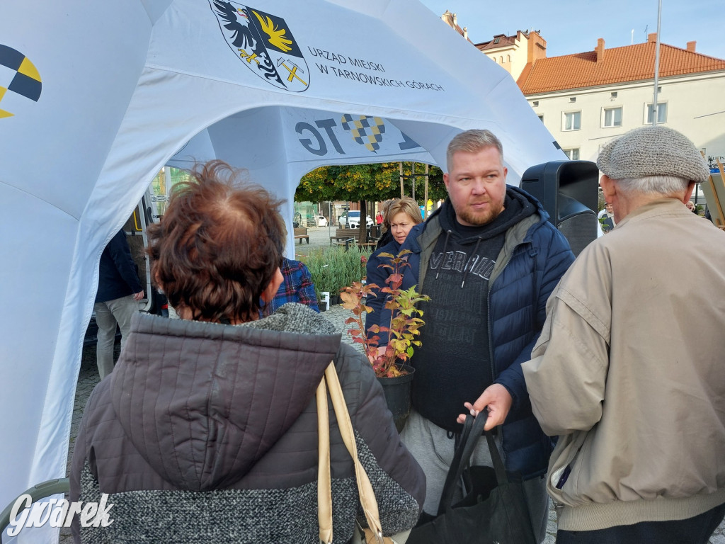 Tarnowskie Góry. Sadzonka za elektrośmieci