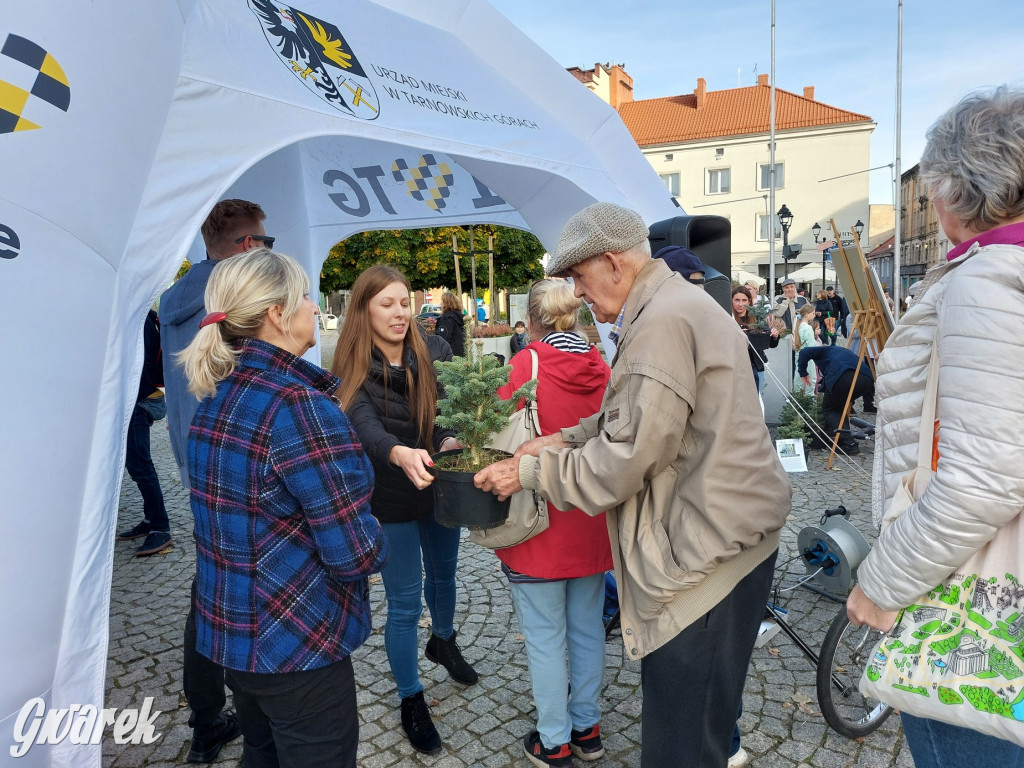 Tarnowskie Góry. Sadzonka za elektrośmieci