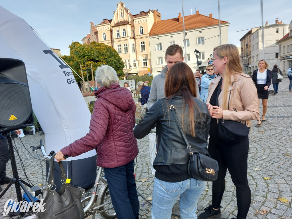 Tarnowskie Góry. Sadzonka za elektrośmieci