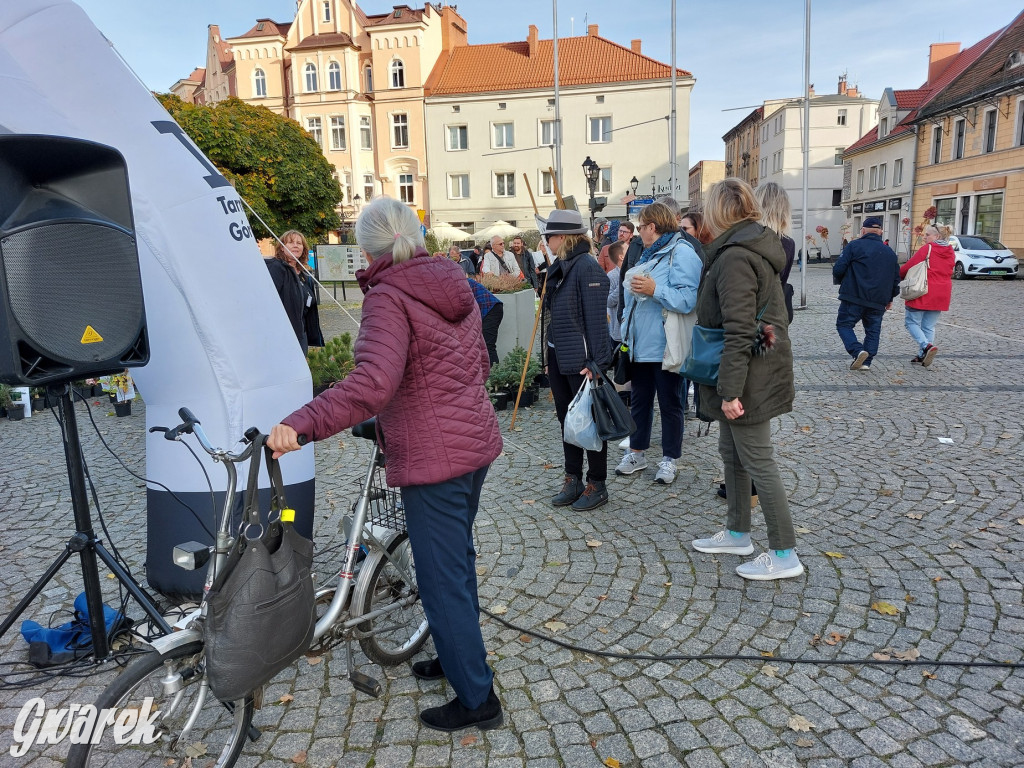 Tarnowskie Góry. Sadzonka za elektrośmieci