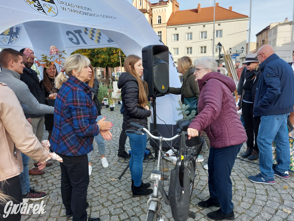 Tarnowskie Góry. Sadzonka za elektrośmieci