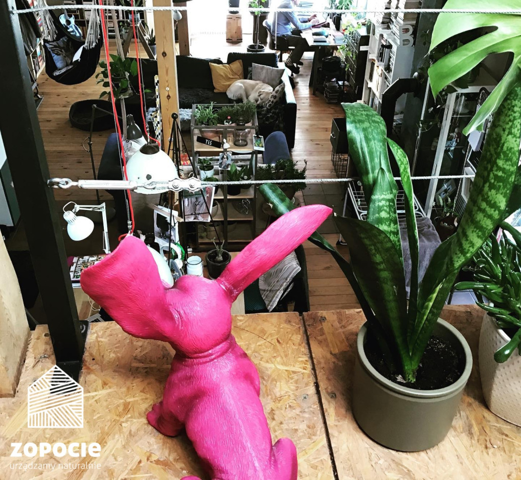 Zopocie. Loftowood na obrzeżach miasta