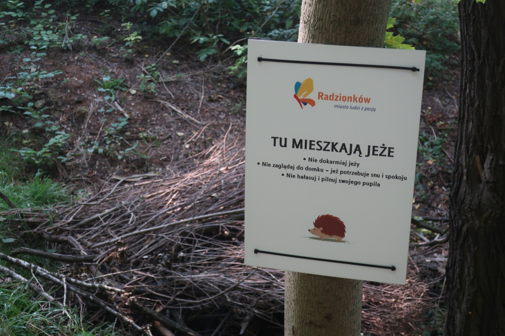 Domki dla jeży w parku