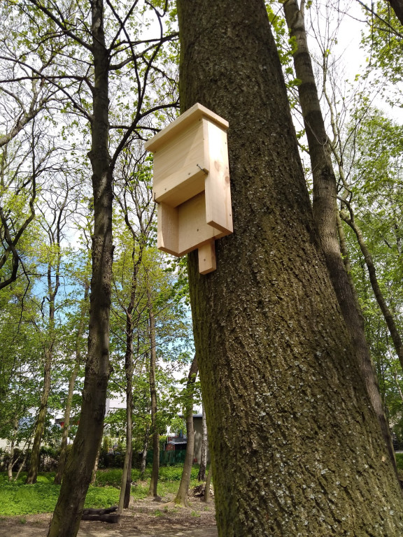 Domki dla jeży w parku