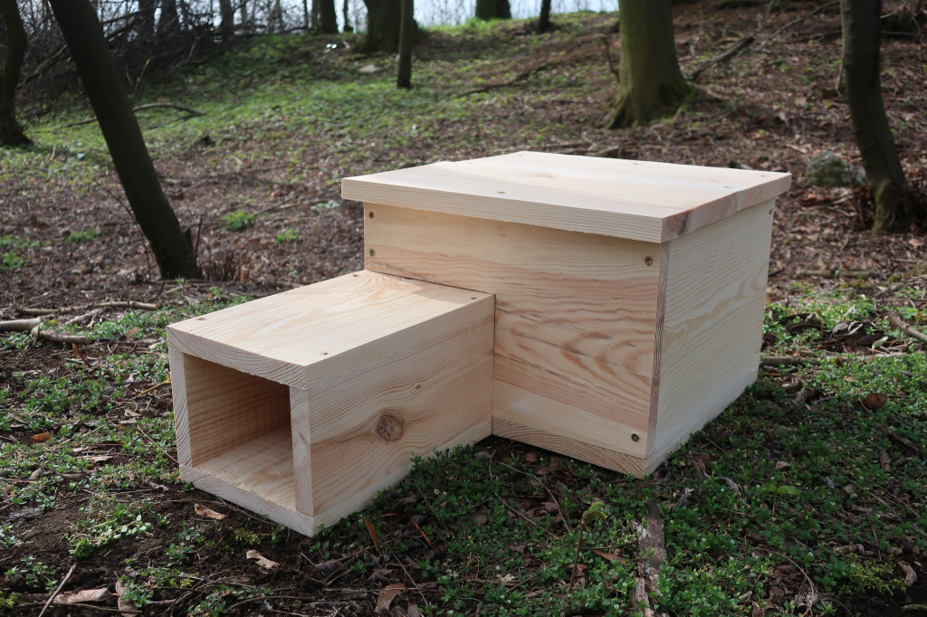 Domki dla jeży w parku