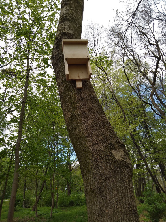 Domki dla jeży w parku