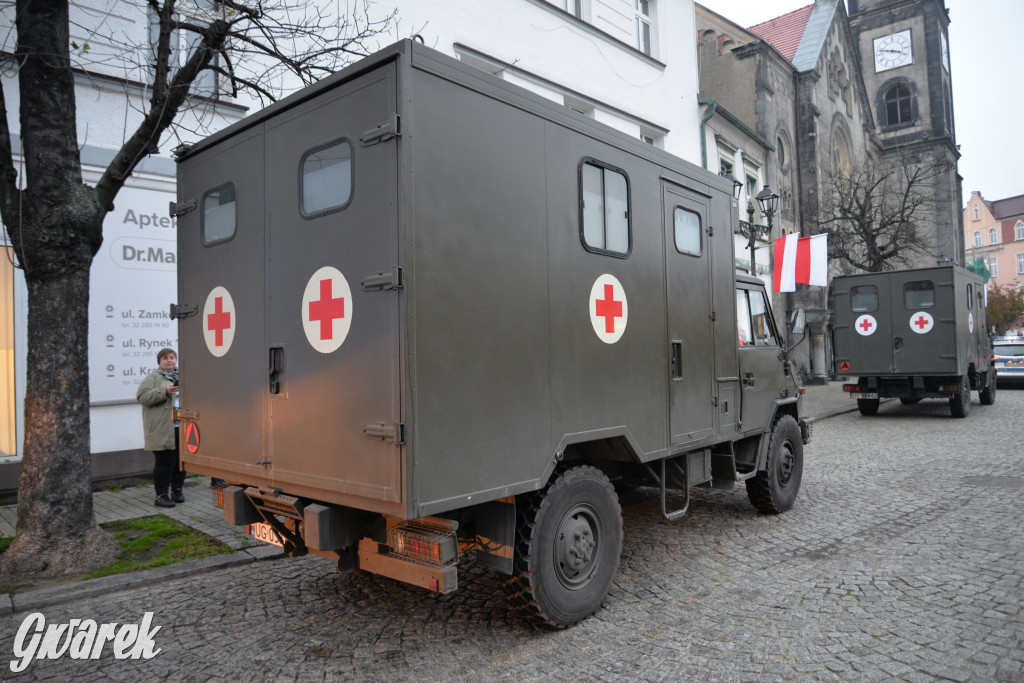 W przeddzień Narodowego Święta Niepodległości [FOTO]