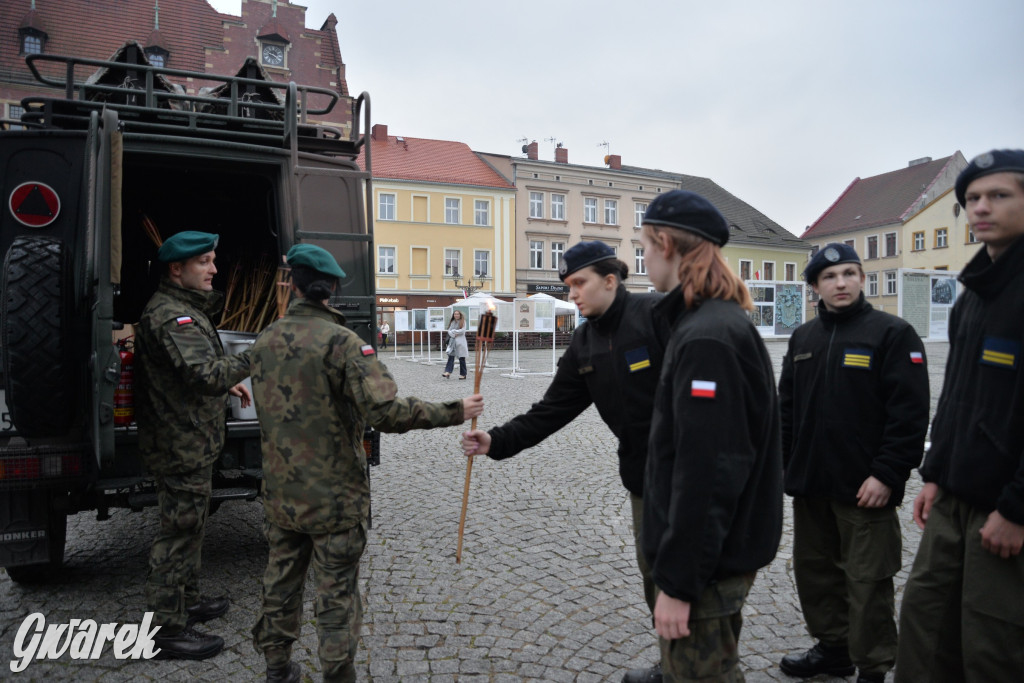 W przeddzień Narodowego Święta Niepodległości [FOTO]