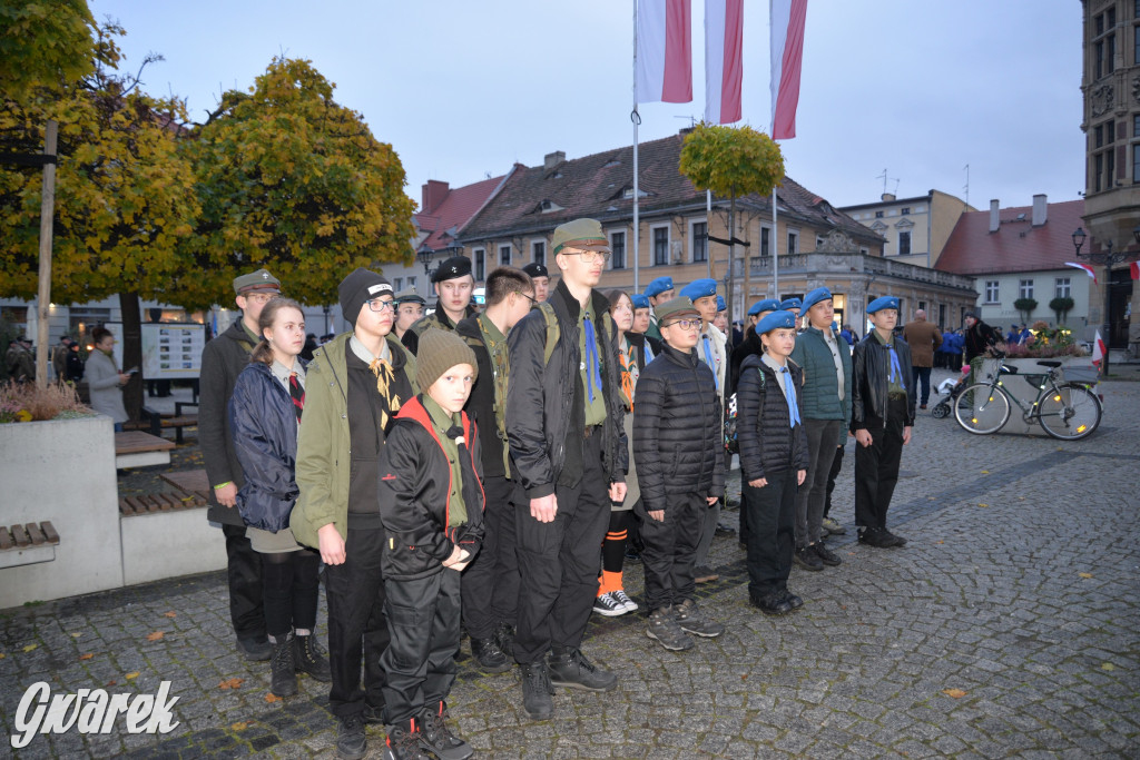 W przeddzień Narodowego Święta Niepodległości [FOTO]