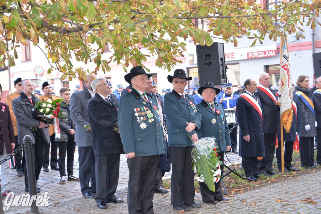 Tarnowskie Góry. Święto Niepodległości [ZDJĘCIA]