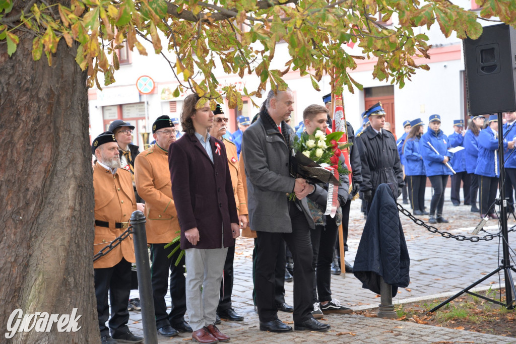 Tarnowskie Góry. Święto Niepodległości [ZDJĘCIA]