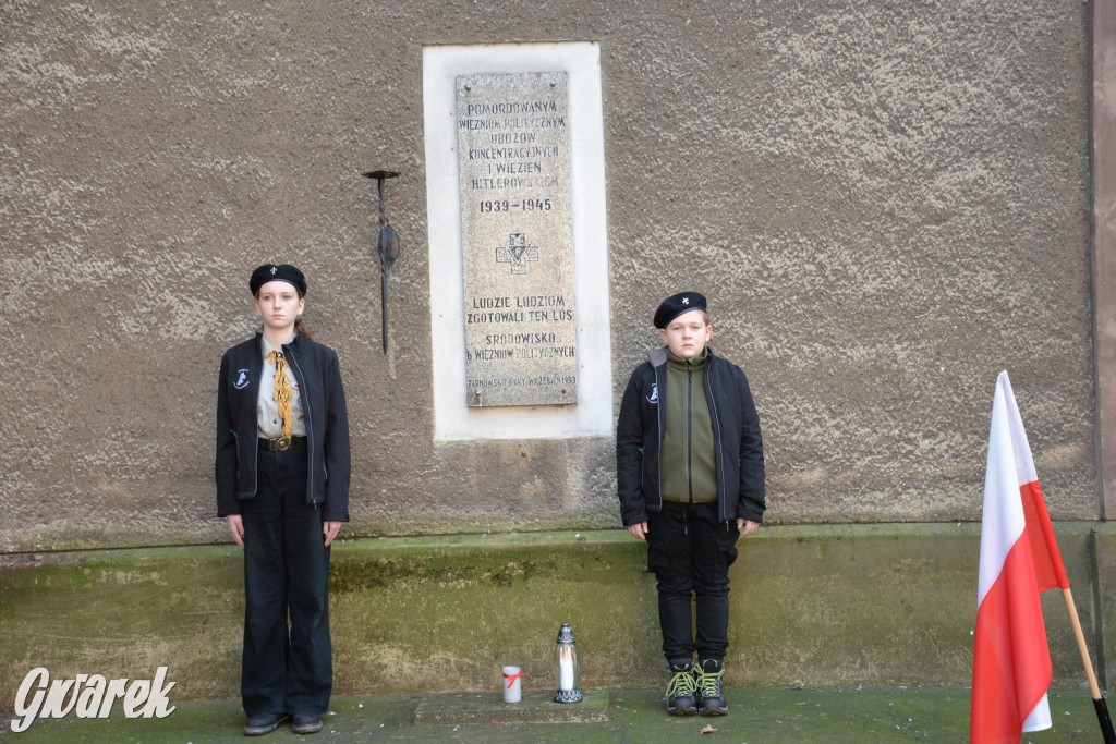 Tarnowskie Góry. Święto Niepodległości [ZDJĘCIA]