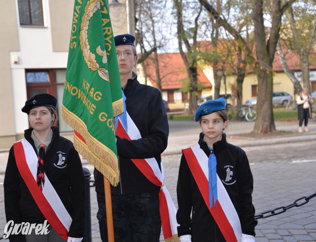 Tarnowskie Góry. Święto Niepodległości [ZDJĘCIA]