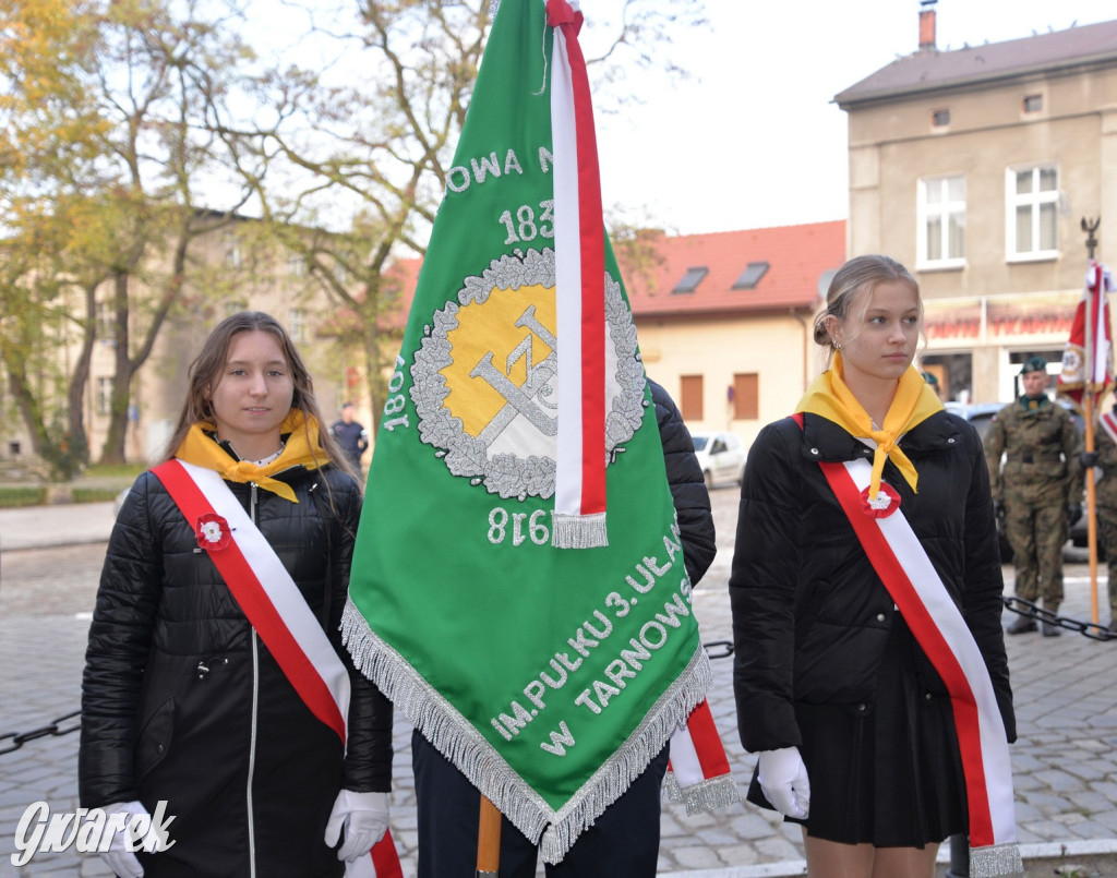 Tarnowskie Góry. Święto Niepodległości [ZDJĘCIA]