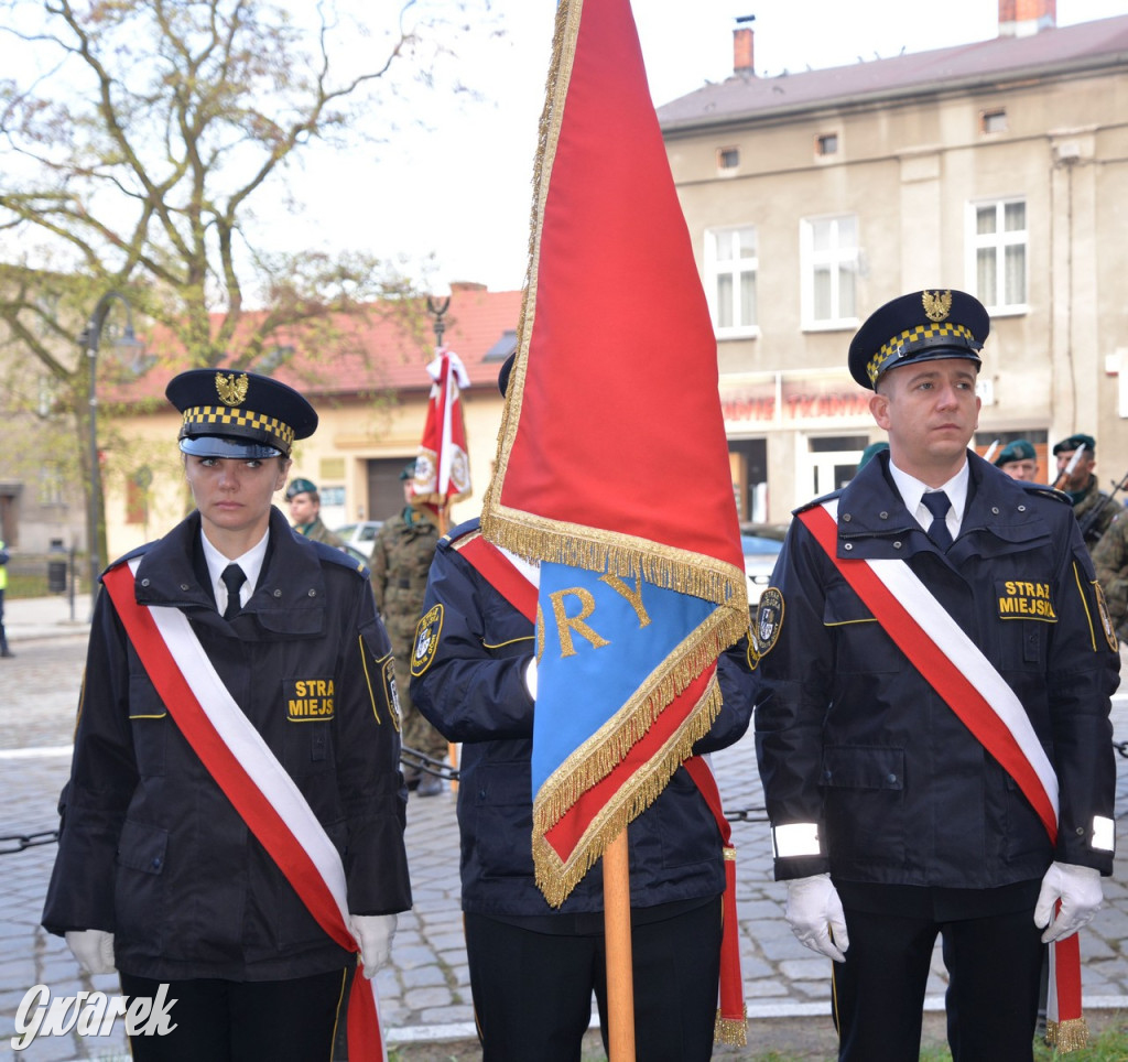 Tarnowskie Góry. Święto Niepodległości [ZDJĘCIA]