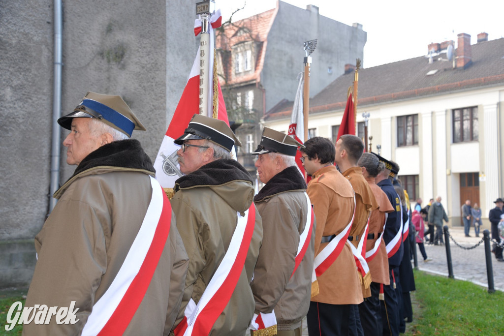 Tarnowskie Góry. Święto Niepodległości [ZDJĘCIA]