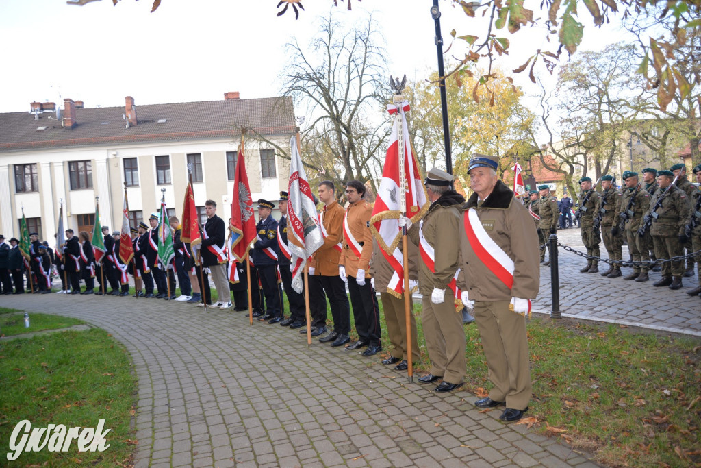 Tarnowskie Góry. Święto Niepodległości [ZDJĘCIA]