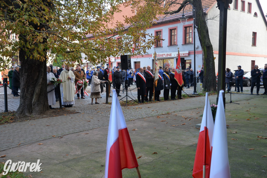 Tarnowskie Góry. Święto Niepodległości [ZDJĘCIA]